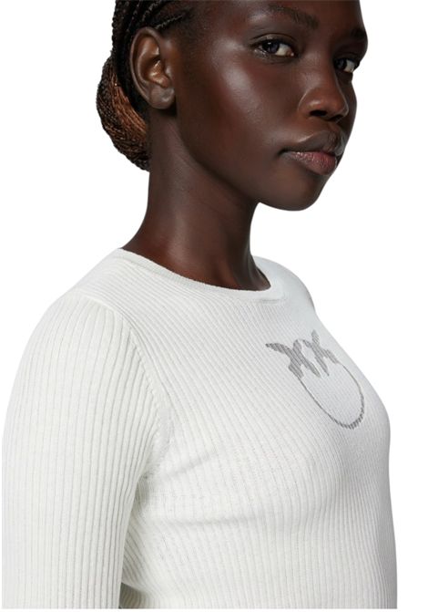 Love Birds logo rib knit in transparency PINKO | sweaters | 102017 A1KWZ05